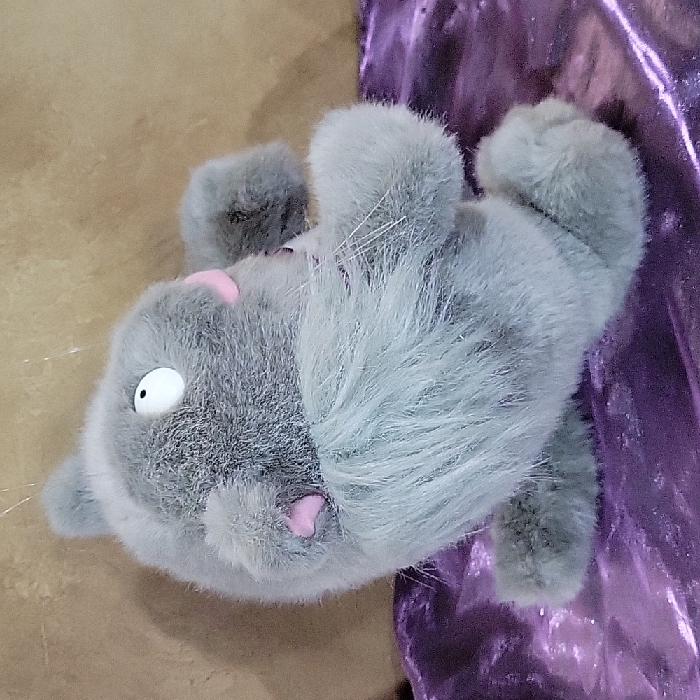 Vintage Sandra Boynton Plush Claude Debussycat Zoominary Cat - Picture 3 of 9